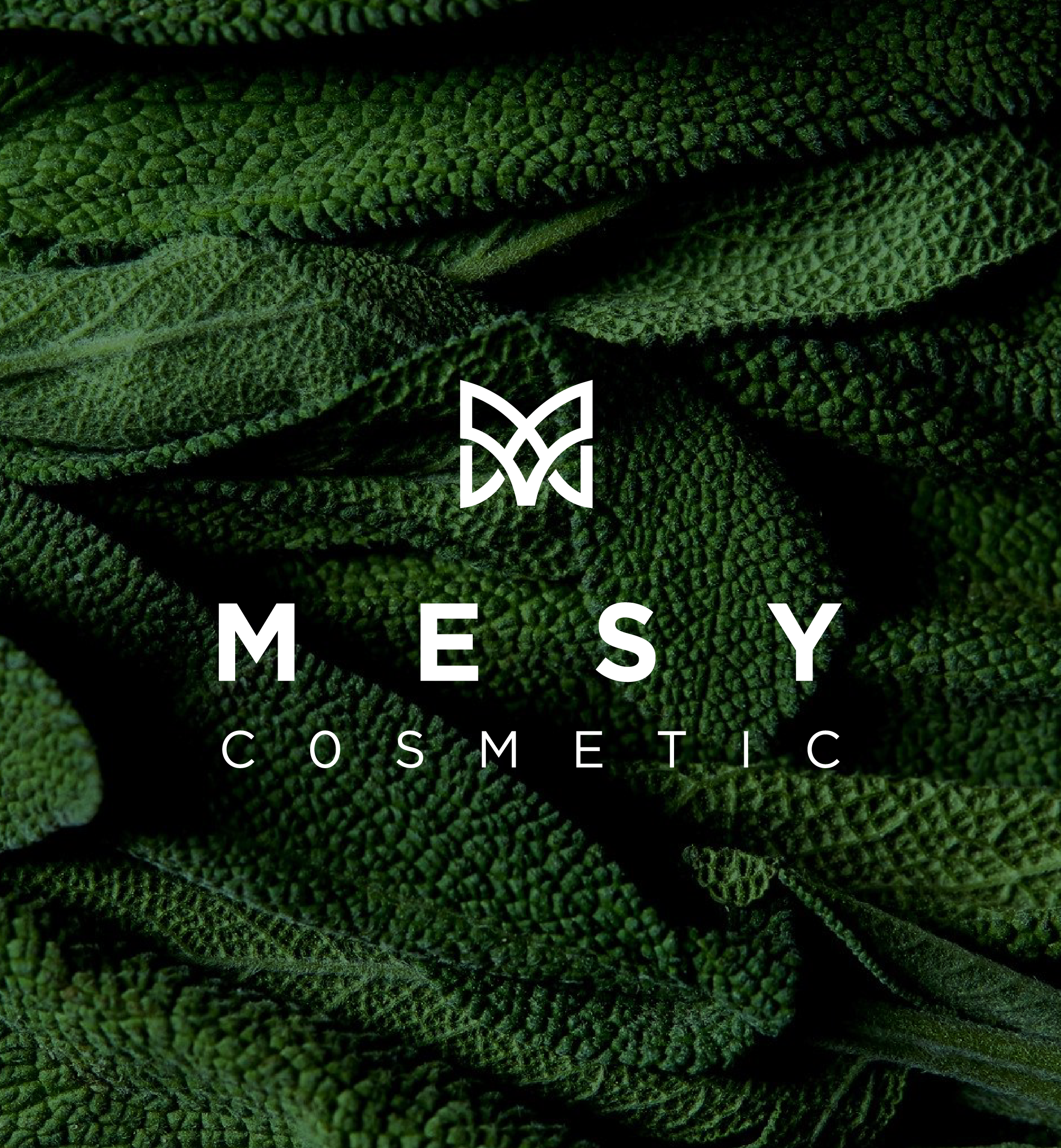 mesy-cosmetics